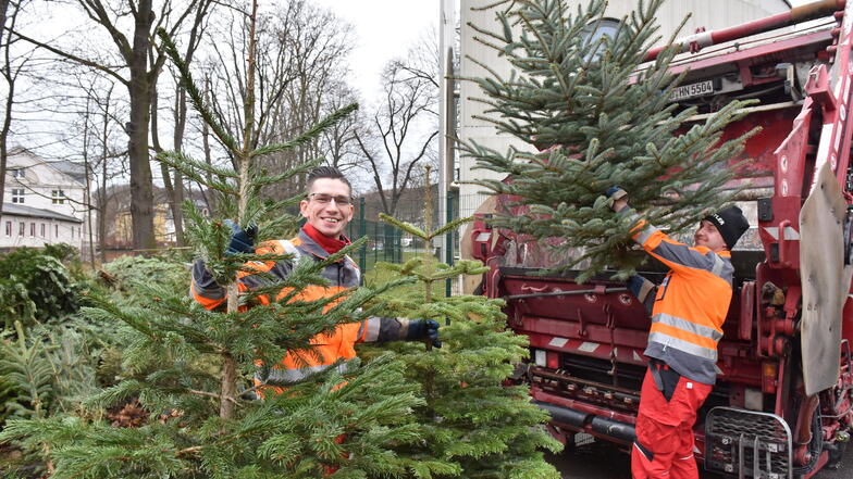 Marcel Wolff und Sebastian Tenert von der Firma Nestler haben zu Jahresbeginn ordentlich mit ausgedienten Weihnachtsbäumen zu tun.
