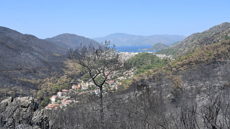 Das Feuer in der Türkei hat ganze Landstriche verbrannt zurückgelassen - wie hier in der bei Touristen beliebten Region Marmaris.