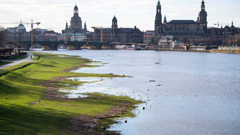 Der Pegel der Elbe ist in den vergangenen Tagen stark angestiegen.
