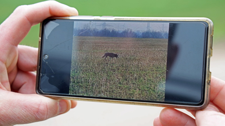 Dieses Handyvideo hat ein Anwohner aus einem Strehlaer Ortsteil aufgenommen.