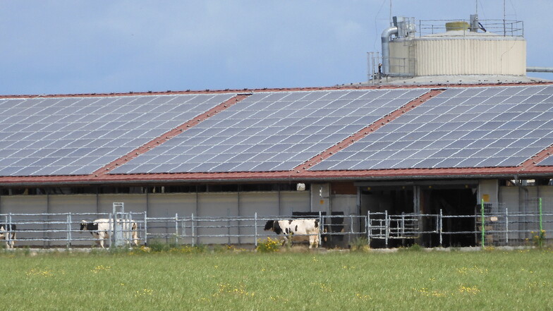 Bauernhof mit neuem Kuhstall, Solar- und Biogasanlage: Zur MKH-Agrar-Produkte-GmbH Wittichenau gehört auch die Krabat-Milchwelt mit Schaukäserei.
