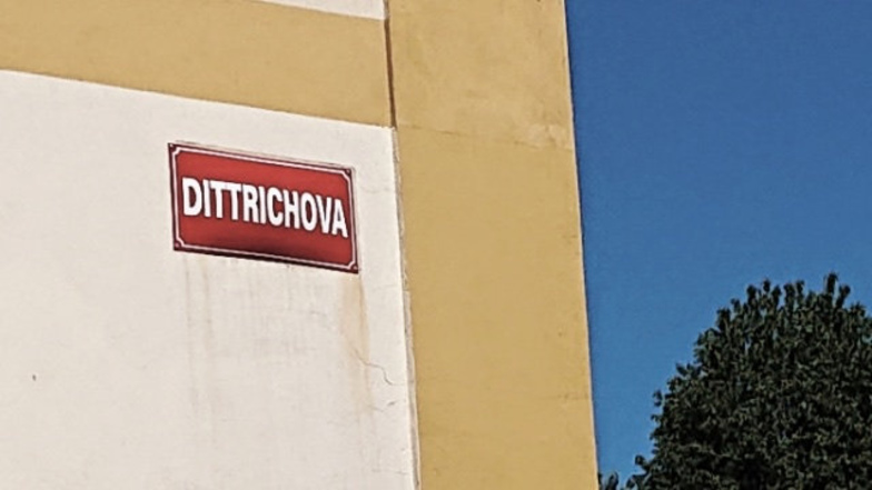 In Krásná Lípa hängt bereits das neue Straßenschild.