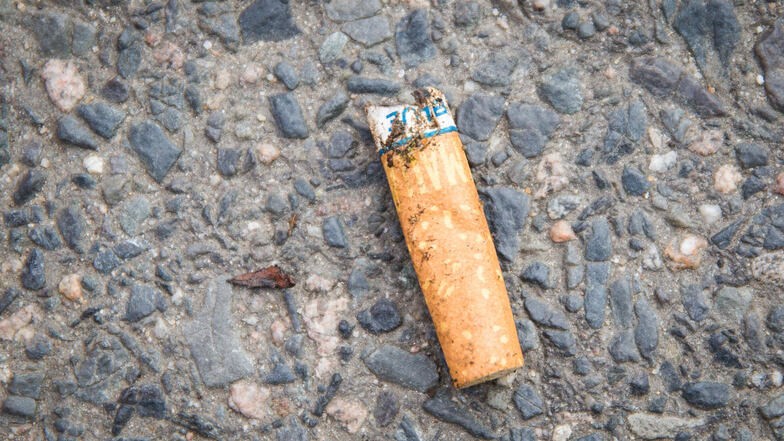 Top 6 - XX Millionen: Der achtlos in die Botanik geschnippte Zigarettenstummel steht als Synonym für alle unnötigen Müll-Kippen dieser Welt. (Außerhalb der Wertung wegen unfassbarer Halbwertzeit)