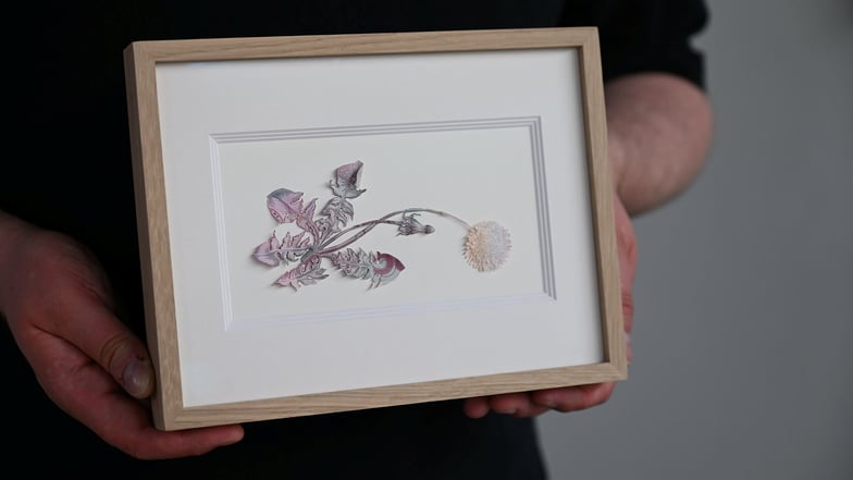 Philipp Valenta machte aus einem 500-D-Mark-Schein einen Löwenzahn für sein „Herbarium“, das aus internationalen Banknotenblüten besteht.