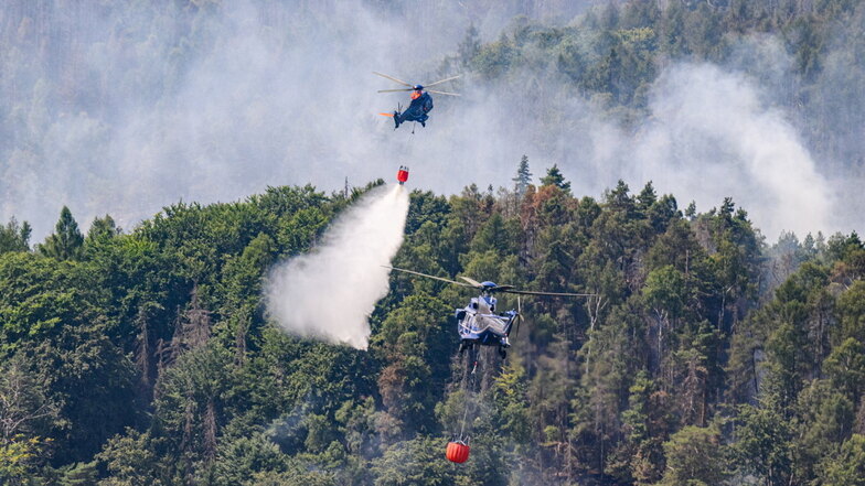 Waldbrände in der Sächsischen Schweiz: Es stinkt zum Himmel