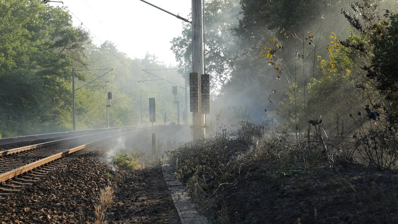 Im Dresdner Norden ist am Dienstagabend ein Waldbrand ausgebrochen.