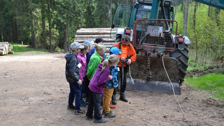 In dieser Woche finden Waldjugendspiele für die Grundschulen im Tharandter Wald statt. Einige Unterrichtsstunden finden im Wald statt.