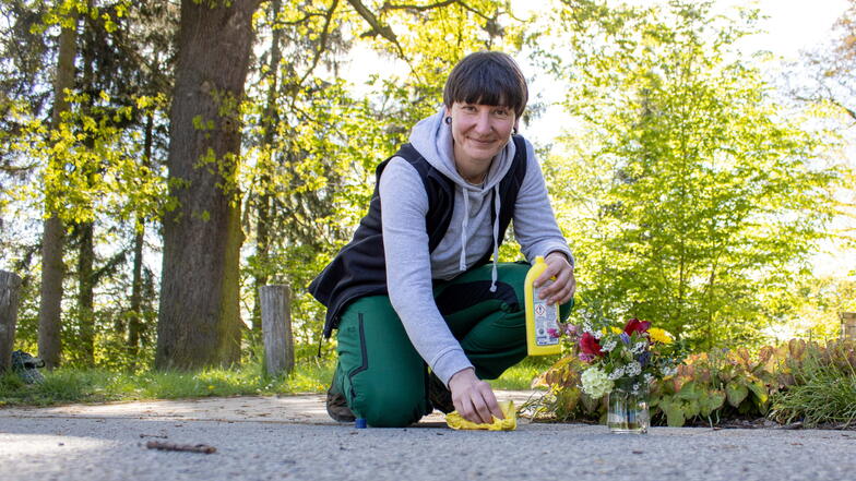 Marita Richter säubert einen Stolperstein, der zum Gedenken an Martin Kretschmer aus Pirna gesetzt wurde.