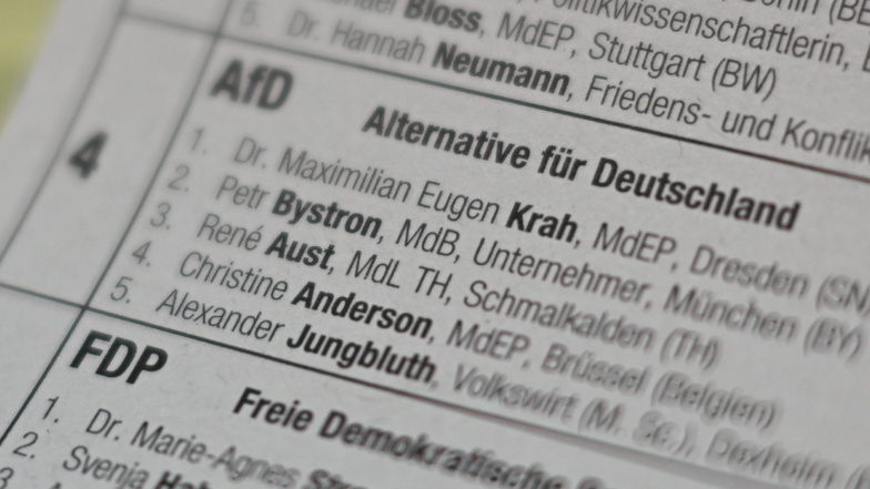 Maximilian Krah und Petr Bystron stehen auf den ersten beiden Plätzen der AfD-Liste zur Europawahl.