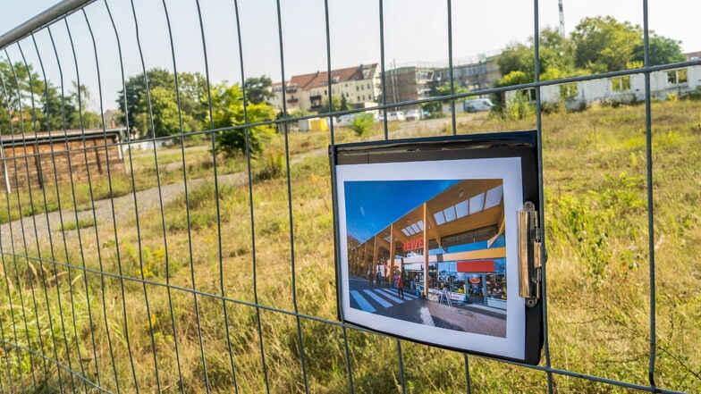 Auf der Widmann-Brache soll ein Rewe-Markt entstehen.