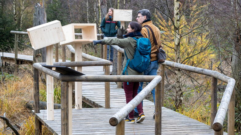 Nationalpark Sächsische Schweiz eröffnet Weg zur Wildnis