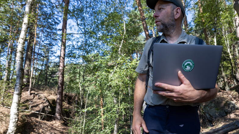 Marko Hänsel von der Nationalparkwacht: Vier Jahre später ist die Natur zurück.