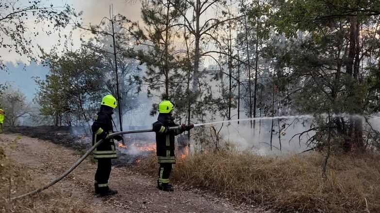 Am Waldbad Röderau brannte am Dienstag eine Fläche von 2.000 Quadratmetern.
