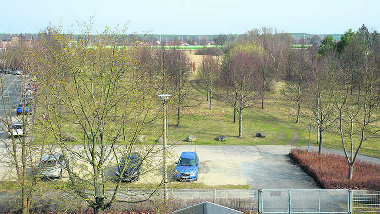 Der Park der Generationen an der Richard-Neumann-Straße in Niesky. Hier pflanzen die Abiturienten des Schleiermacher-Gymnasiums jedes Jahr einen Baum.