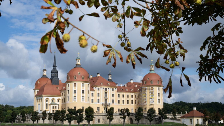 Ausgestellt werden soll die "neue Sensation“ auf dem Schloss Moritzburg.