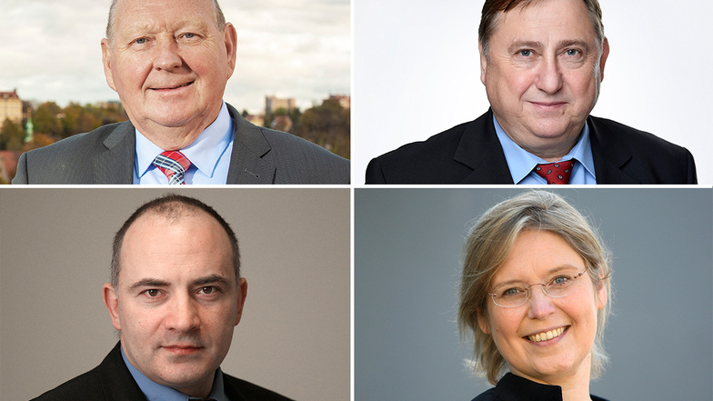 Rechnen sich gute Chancen für das Direktmandat im Bundestag aus: Klaus Brähmig, André Hahn, Steffen Janich, Corinna Franke-Wöller (von links oben nach rechts unten).