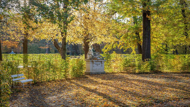 Es geht auch um die Ortsteile: Hier ein Schnappschuss aus Zabeltitz: Herbst an der Flora im Barockpark.