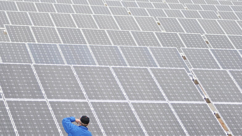 Eine Firma aus Neuhardenberg plant entlang der Autobahn einen acht Kilometer langen Solarpark. Der Stromertrag soll bis zu 180 Megawatt betragen.