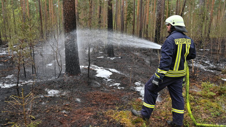 Aufgrund der anhaltenden Trockenheit herrscht im ganzen Landkreis Bautzen hohe Waldbrandgefahr. Und die Lage könnte sich weiter zuspitzen.