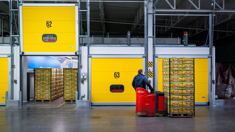 Blick in eine Bananenreiferei von Citronex: Ein Mitarbeiter bei der Entladung der Bananen vom LKW.