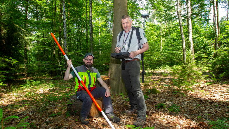 Sie leiten die Bundeswaldinventur in Sachsen: Michael Schmid (r.) und Tommy Schulze vom Staatsbetrieb Sachsenforst an einem Inventurpunkt im Liebethaler Wald.