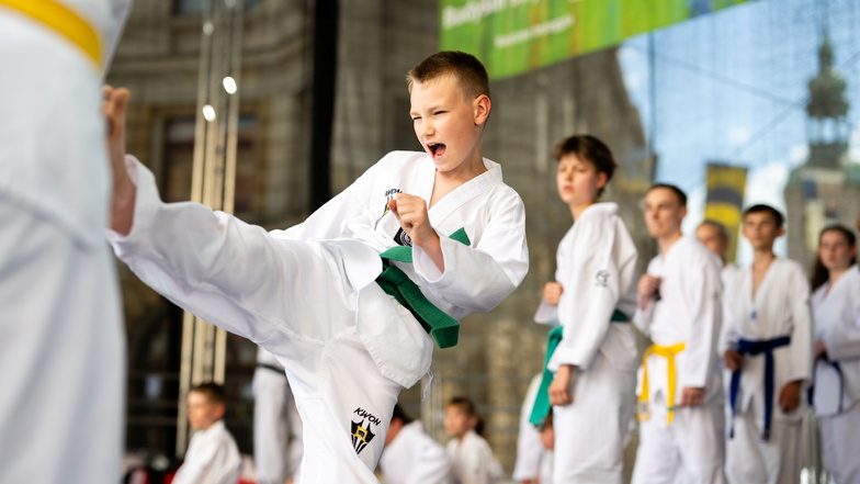 Taekwondo bei der Show der Vereine am Sonnabend auf der Hauptmarkt-Bühne.