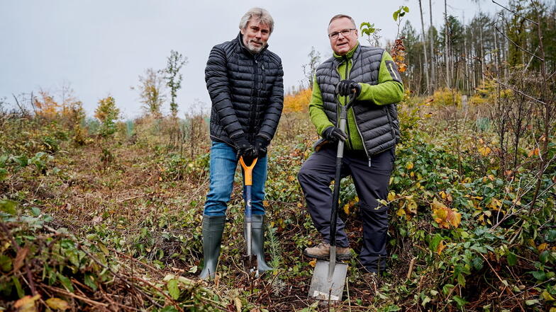 Trumpf-Geschäftsführer Sven Künkels (l.) und der Neukircher Bürgermeister Jens Zeiler beteiligten sich an der Baumpflanzaktion im Gemeindewald am Picho.