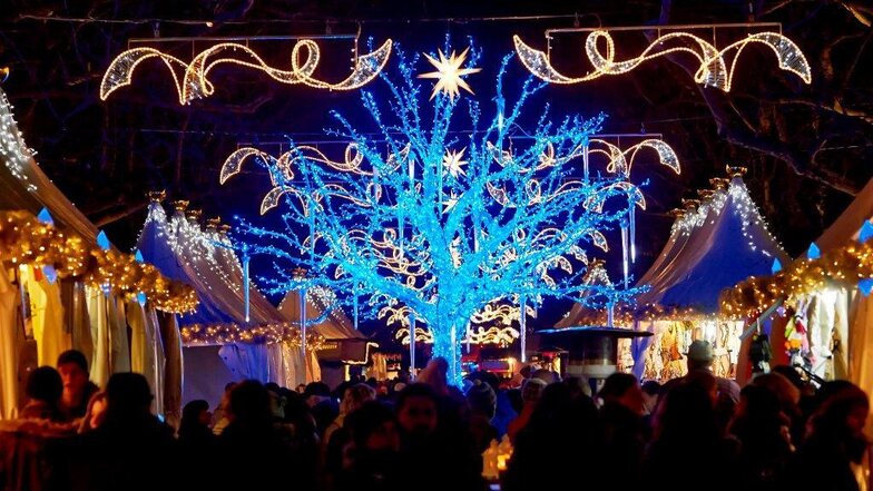 Jedes Jahr aufs Neue faszinierend: Der blaue Baum auf dem Dresdner Augustusmarkt.