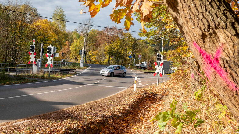 m Januar müssen vor dem Bahnübergang einige Bäume weichen, damit ein Fußweg entstehen kann.