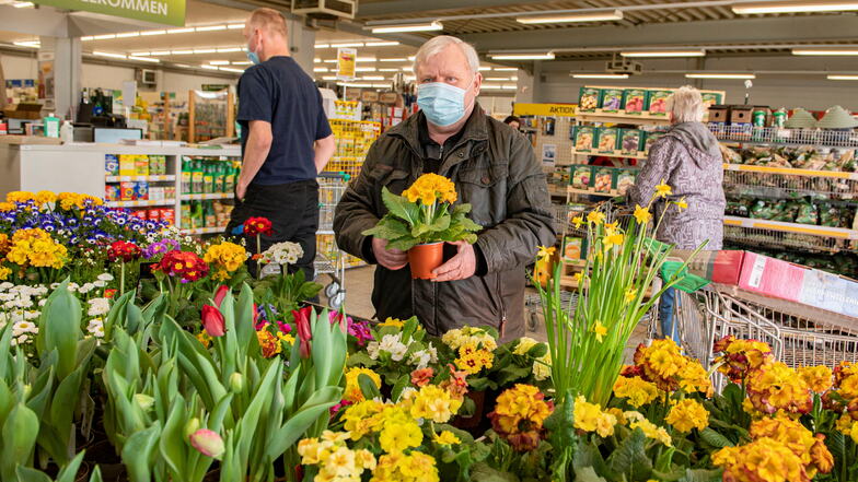Im Großenhainer Landmaxx Gartenmarkt erfreut sich Kunde Horst Rocher an den zahlreichen Blumen.