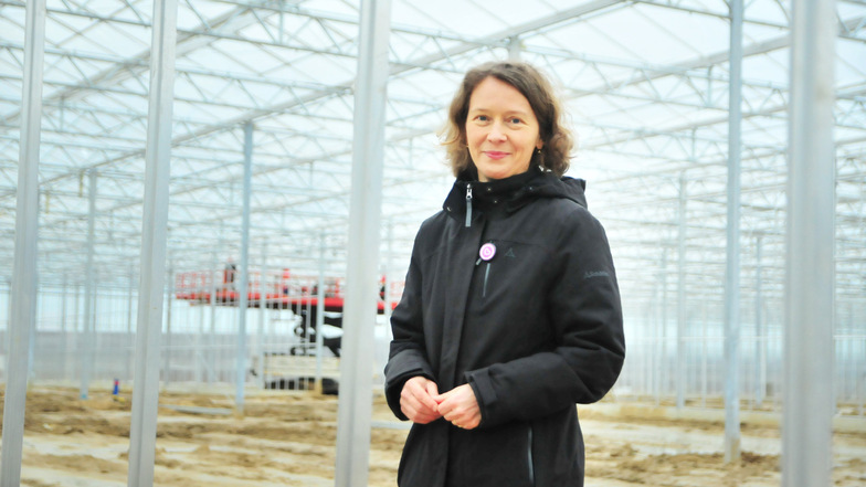 Fast zwei Hektar unter Glas: Produktmanagerin Antonia Feindura im Rohbau des neuen Gewächshauses von Elsner pac Jungpflanzen.