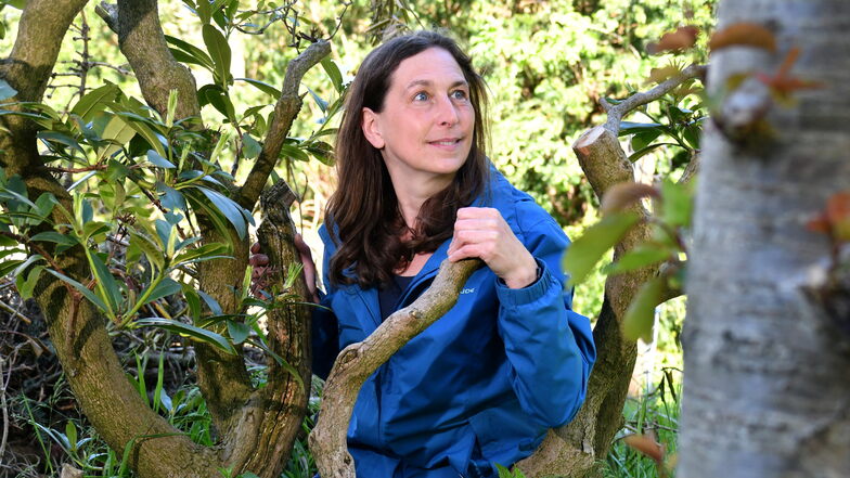 Claudia Scharf bietet im Rödertal und der Dresdner Heide Kurse zum Waldbaden an.