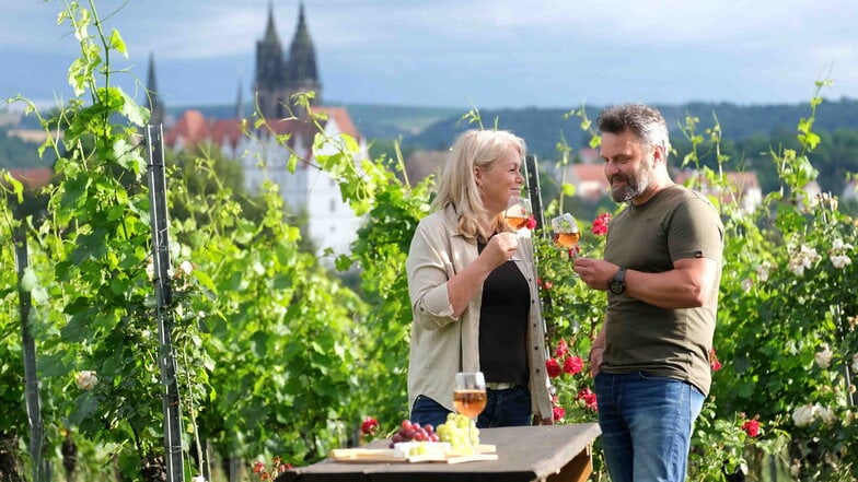 Die Tage des offenen Weinguts finden dieses Jahr am 24. und 25. August statt. Manche Winzer und Winzerinnen starten bereits in den Tagen davor mit einem Warm-up.