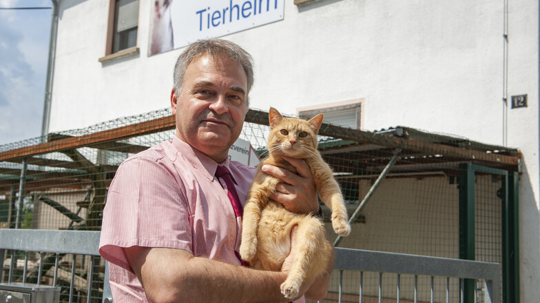 Matthias Kuri mit Kater Garfield auf dem Arm. Der Vorsitzende des Tierschutzvereines Radeberg erhält jetzt öfter besorgte Anrufe.