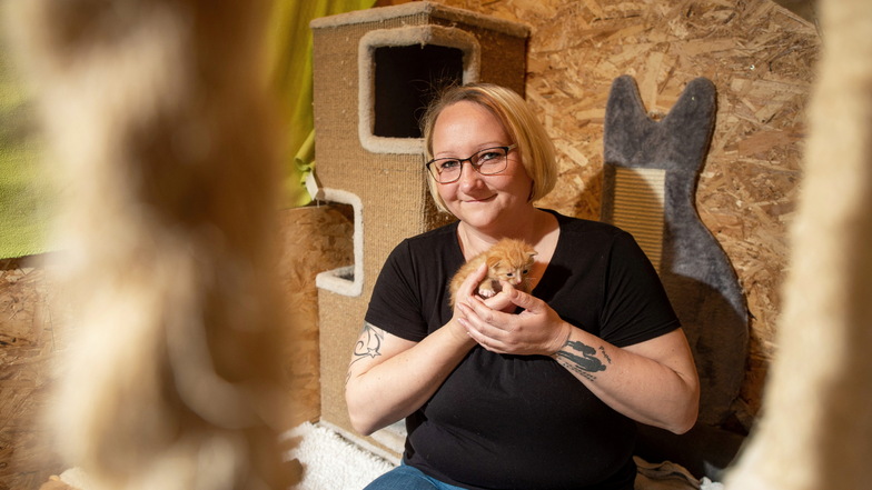 Will gegen den bisherigen Vorsitzenden des Großenhainer Tierschutzvereins, Armin Krake, kandidieren: Anita Hodinka in ihrer Pflegestelle, einem selbst gebauten Haus für Katzen.