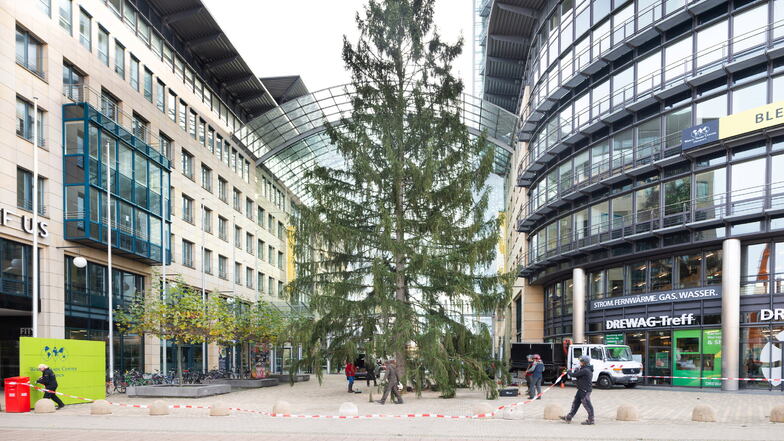 Dieses Jahr sucht man ihn vergebens, den großen Weihnachtsbaum vor dem WTC - so sah es noch 2021 aus.