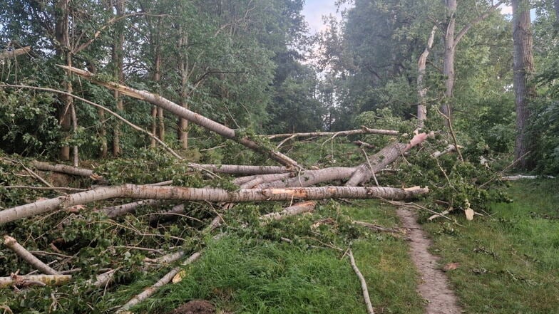 Jahnatalradweg in Riesa nach Sturmschäden noch versperrt