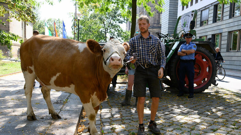Landwirt Clemens Risse stand während der Protestaktion der Arbeitsgemeinschaft bäuerliche Landwirtschaft mit seiner Kuh vor dem Innenministerium.
