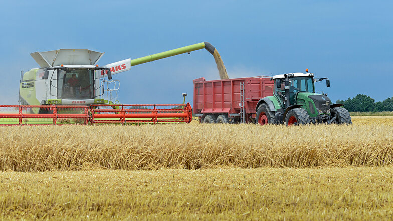 Ernteeinsatz bei der Budissa Agrarprodukte AG im Juli 2018: Der Konzern, der aus fünf LPG entstanden war, erzielte in den vergangenen zehn Jahren rund 16,4 Millionen Euro Nettogewinn.