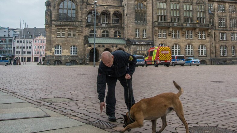 Ein Sprengstoff-Spürhund ist in Chemnitz im Einsatz.