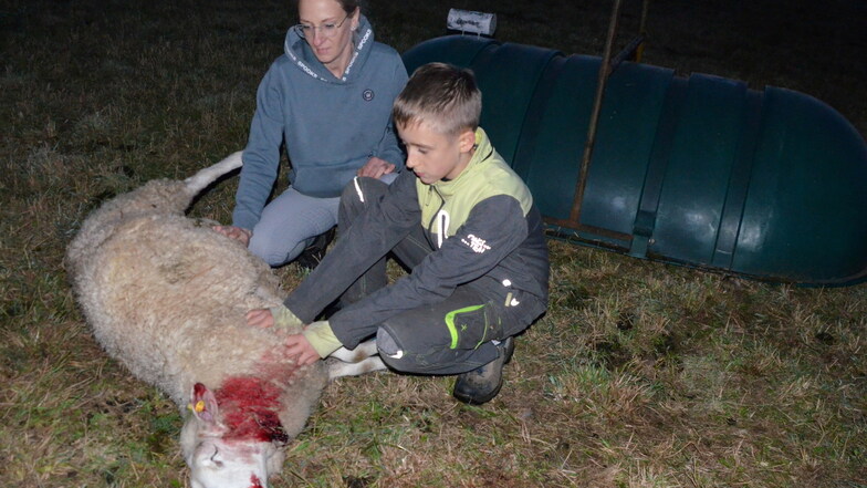 Stephanie Kabatnik und ihr Sohn Toni, der den Eltern bei den Schafen hilft, haben nach Hinweisen aus der Nachbarschaft die toten Tiere auf der Weide aufgefunden.