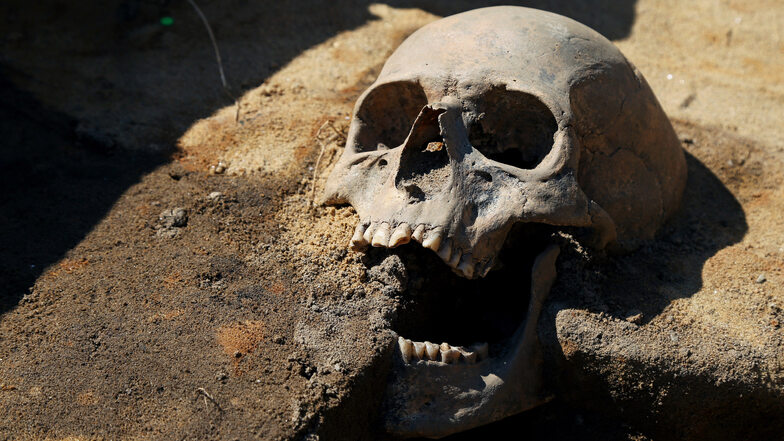 Bei Ausgrabungen am Rathausplatz Riesa wurden bislang 50 Skelette gefunden.