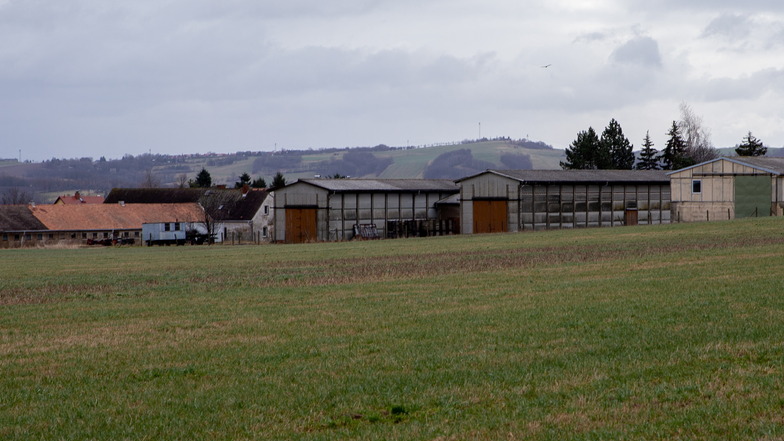 Auf dieser Wiese bei Kleincarsdorf soll ein neuer Kuhstall gebaut werden.