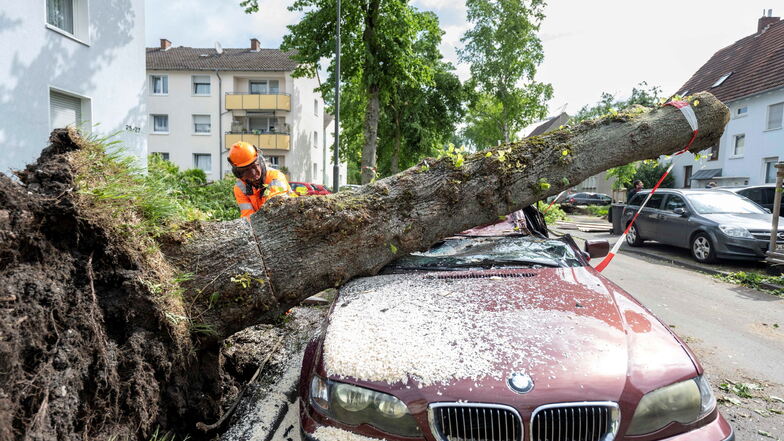 Einen Tag nach dem Tornado haben in Lippstadt die Aufräumarbeiten begonnen.