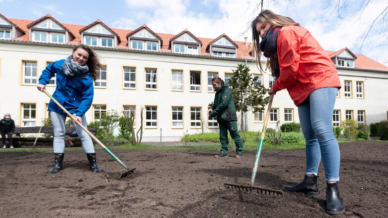 Seit 2020 ist das BSZ Klimaschule. Die beiden Abiturienten Julia Richter und Johanna Sacher gestalten mit Lino Schmidt, der am BSZ Garten- und Landschaftsbau lernt, im Innenhof eine Blühwiese für Insekten. Für fünf Jahre wird das BSZ bei Klimaprojekten fi