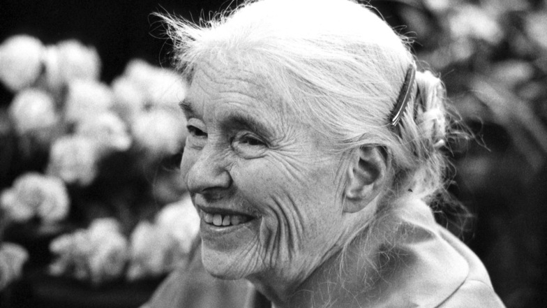 Anna Seghers an ihrem 80. Geburtstag am 19. November 1980.