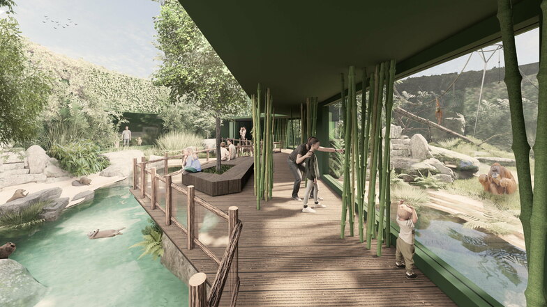 Durch das neue Außengehege werden die Besucher über einen Dschungelpfad geführt. Links sind die Orang-Utans untergebracht, auf der rechten Seite beziehen Glattotter die neue Anlage.