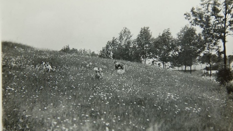 Das Foto zeigt Elfriede Weiß (Mitte) Ende der Zwanziggerjahre mit einer Tante und einer Freundin auf den Wiesen bei Steinbrückmühle. Am rechten Bildrand ist ein Stück des Dorfes zu sehen.
