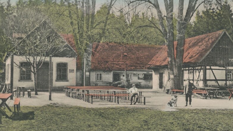 Die Batzenhütte Niederoderwitz war ein Waldwärterhaus im Tal des Triebenbachs im Königsholz. Dort wurde früher Torf gestochen, daher der Name Batzen. Die Batzenhütte war ein sehr beliebtes Waldrestaurant. Das Gasthaus bot den Gästen ab 1870 „Kaffee, Bier 