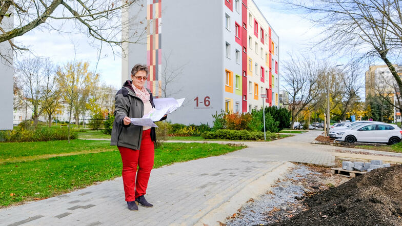 Kerstin Richter von der Coswiger Wohnungsgesellschaft WBV überwacht die Sanierung der Kötzschenbrodaer Straße.
